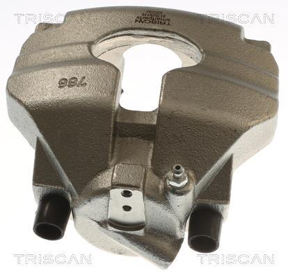 Pinza de freno Triscan A/S ref. 8175 29110