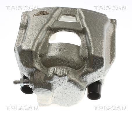 Étrier de frein Triscan A/S ref. 8175 29112