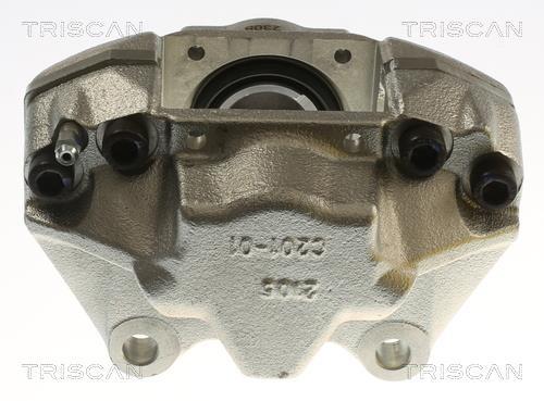 Pinza de freno Triscan A/S ref. 8175 29113