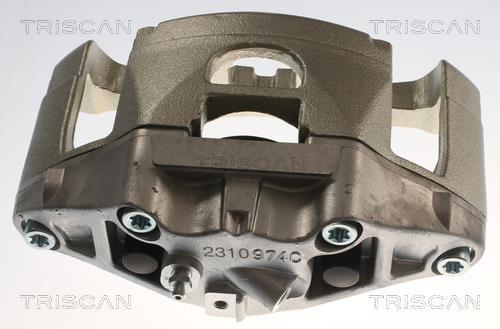 Pinza de freno Triscan A/S ref. 8175 29120