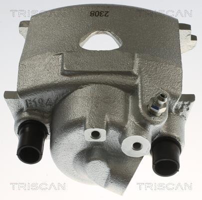 Étrier de frein Triscan A/S ref. 8175 29130