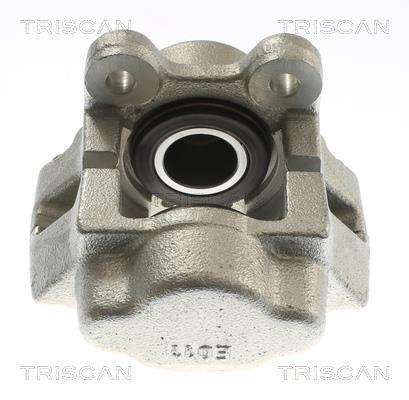 Étrier de frein Triscan A/S ref. 8175 29133