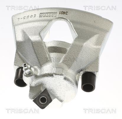 Pinza de freno Triscan A/S ref. 8175 29151