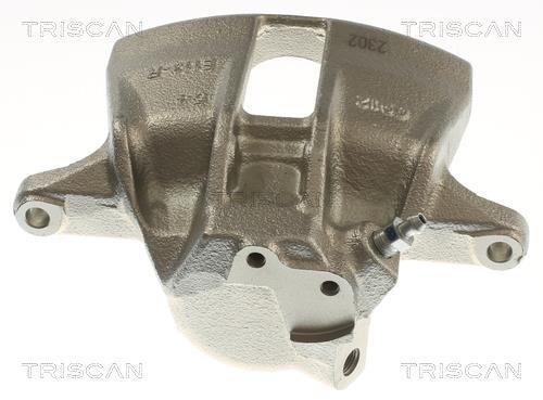 Pinza de freno Triscan A/S ref. 8175 29154