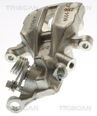 Pinza de freno Triscan A/S ref. 8175 29157