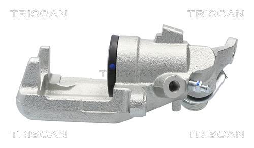 Pinza de freno Triscan A/S ref. 8175 29160