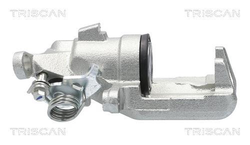 Pinza de freno Triscan A/S ref. 8175 29160