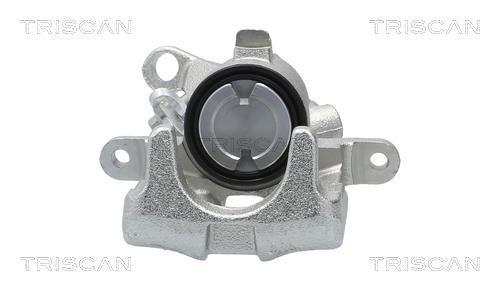 Pinza de freno Triscan A/S ref. 8175 29160