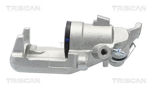 Pinza de freno Triscan A/S ref. 8175 29160