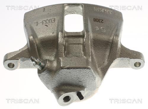 Pinza de freno Triscan A/S ref. 8175 29163