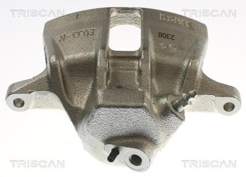 Pinza de freno Triscan A/S ref. 8175 29164