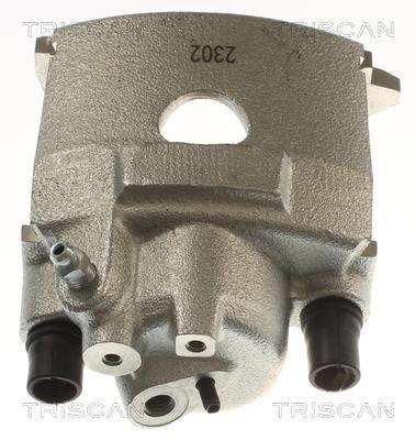Pinza de freno Triscan A/S ref. 8175 29165