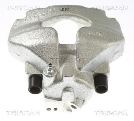 Pinza de freno Triscan A/S ref. 8175 29167