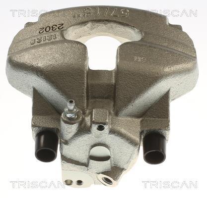 Pinza de freno Triscan A/S ref. 8175 29169