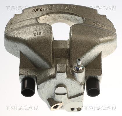 Pinza de freno Triscan A/S ref. 8175 29170