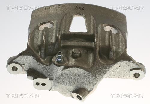 Pinza de freno Triscan A/S ref. 8175 29175