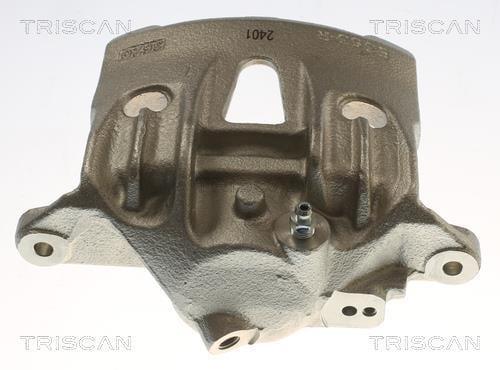 Pinza de freno Triscan A/S ref. 8175 29176