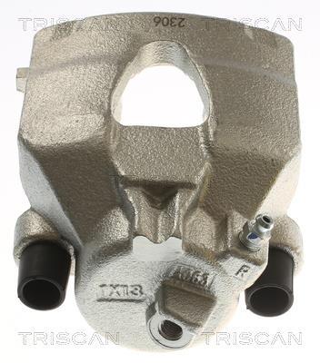 Pinza de freno Triscan A/S ref. 8175 29180