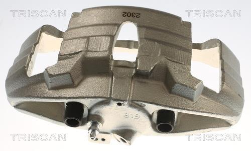 Pinza de freno Triscan A/S ref. 8175 29181