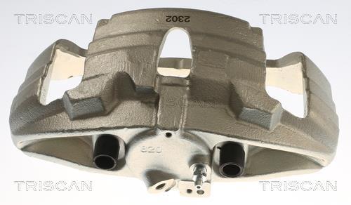 Pinza de freno Triscan A/S ref. 8175 29182
