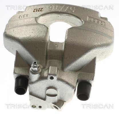 Pinza de freno Triscan A/S ref. 8175 29183