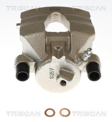 Pinza de freno Triscan A/S ref. 8175 29190