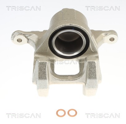 Étrier de frein Triscan A/S 8175 29191