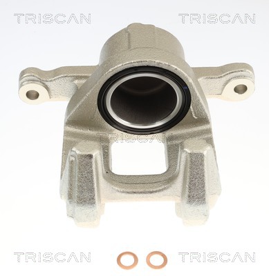 Pinça de travão Triscan A/S 8175 29193
