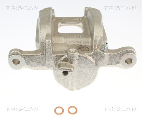 Pinça de travão Triscan A/S 8175 29193