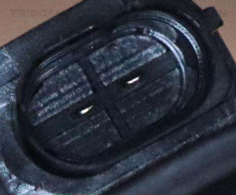 Pinza de freno Triscan A/S ref. 8175 292008