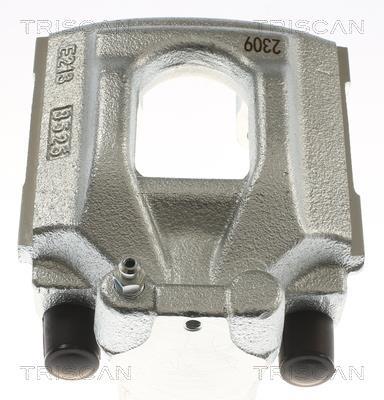 Pinza de freno Triscan A/S ref. 8175 292016