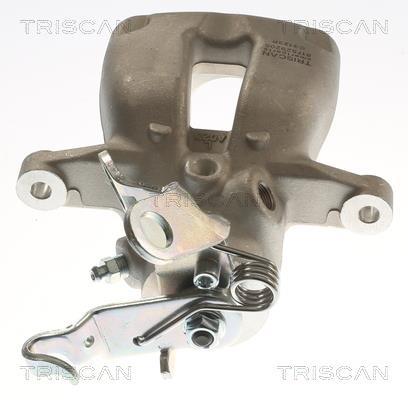 Pinza de freno Triscan A/S ref. 8175 29205