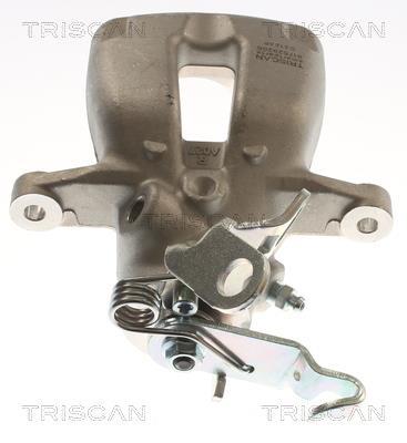Étrier de frein Triscan A/S ref. 8175 29206