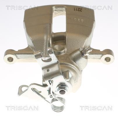 Pinza de freno Triscan A/S ref. 8175 29219