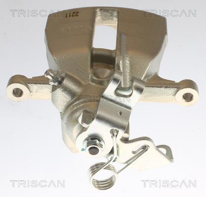 Pinza de freno Triscan A/S ref. 8175 29220