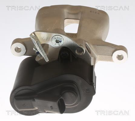 Pinza de freno Triscan A/S ref. 8175 29223