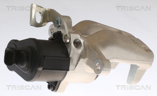 Pinza de freno Triscan A/S ref. 8175 29223