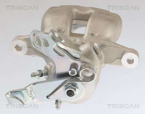 Pinza de freno Triscan A/S ref. 8175 29227