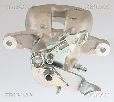 Pinza de freno Triscan A/S ref. 8175 29228