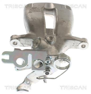 Pinza de freno Triscan A/S ref. 8175 29230