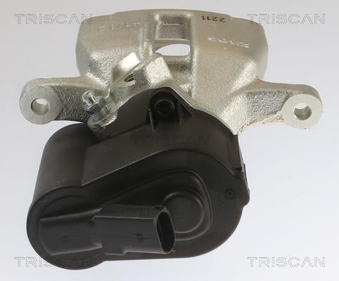 Pinza de freno Triscan A/S ref. 8175 29231