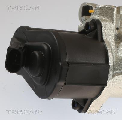 Pinza de freno Triscan A/S ref. 8175 29231
