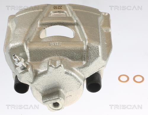 Pinza de freno Triscan A/S ref. 8175 29233