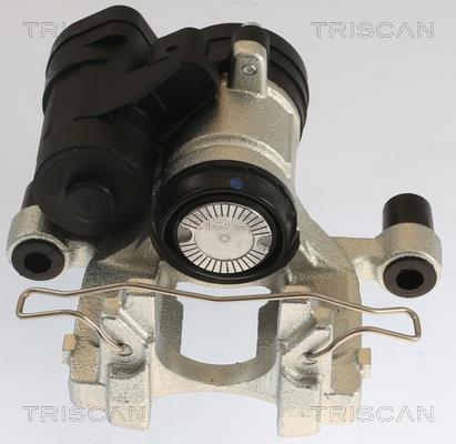 Étrier de frein Triscan A/S ref. 8175 29239