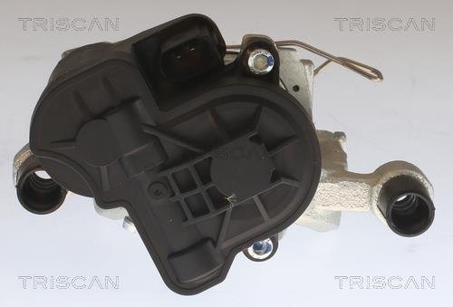 Étrier de frein Triscan A/S ref. 8175 29240