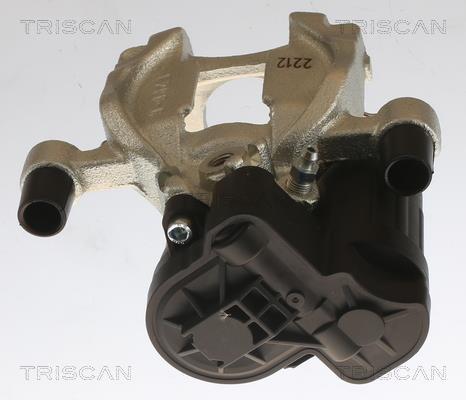 Étrier de frein Triscan A/S ref. 8175 29240