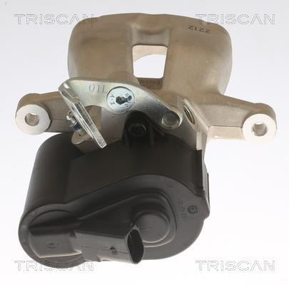 Pinza de freno Triscan A/S ref. 8175 29241