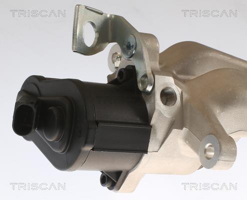 Pinza de freno Triscan A/S ref. 8175 29241