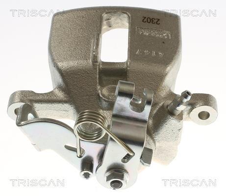 Pinza de freno Triscan A/S ref. 8175 29245