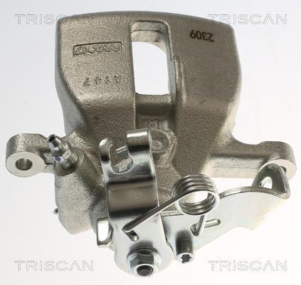 Pinza de freno Triscan A/S ref. 8175 29246